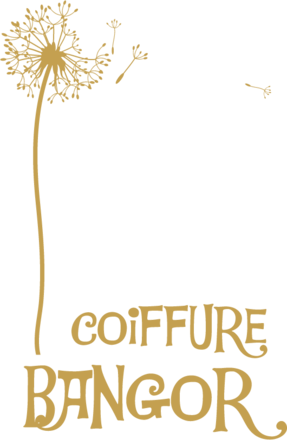 Coiffure Bangor